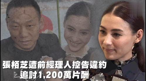 娱乐吃瓜不停,吃瓜不停，揭秘明星幕后故事  第3张