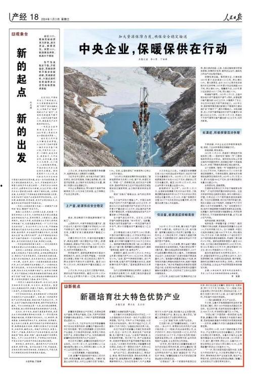 新疆导游爆料新闻最新,揭秘神秘西域背后的真实故事  第3张